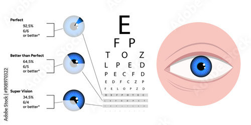 Ophthalmology vision test and statistical information about vision with eye zoom