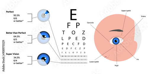 Ophthalmology vision test and statistical information about vision with eye zoom