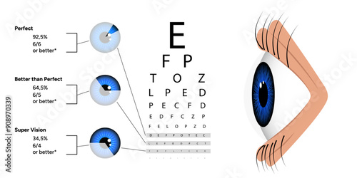 Ophthalmology vision test and statistical information about vision with eye