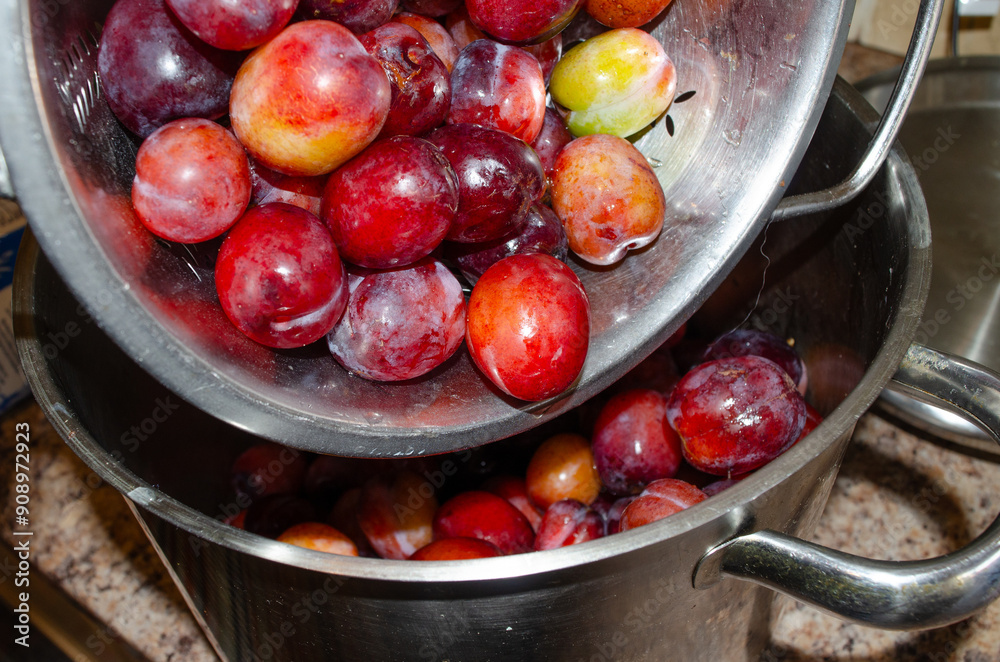 Freshly washed plums being put into a preserving pan Freshly washed plums being put into a preserving pan