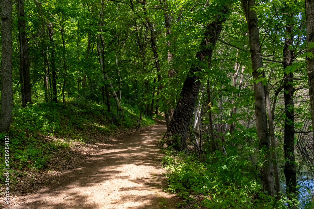A walking path to the horizon in a local state park surrounded by lush greenery. A walking path to the horizon in a local state park surrounded by lush greenery.