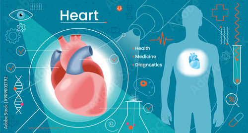 Human heart. Heart anatomy. Cardiology medicine. Medical diagnostics. Modern human treatment. Innovative technologies in healthcare.
