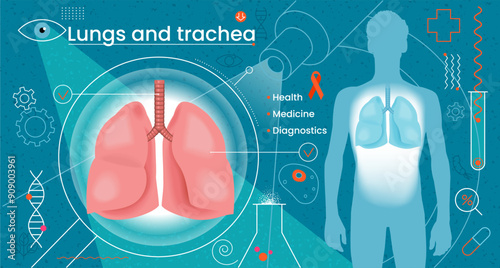 Human respiratory organs. Lungs and trachea. Medical diagnostics. Modern human treatment. Innovative technologies in healthcare.