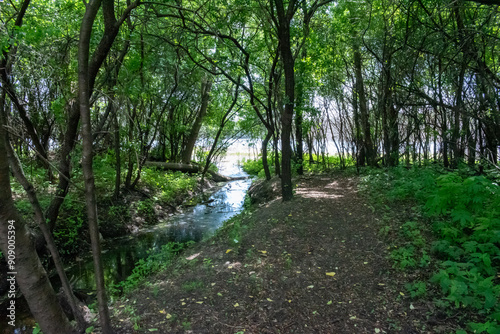 A walking path to the horizon in a local state park surrounded by lush greenery.