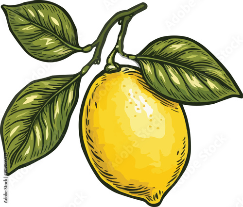 lemon fruit vector illustration,generative ai