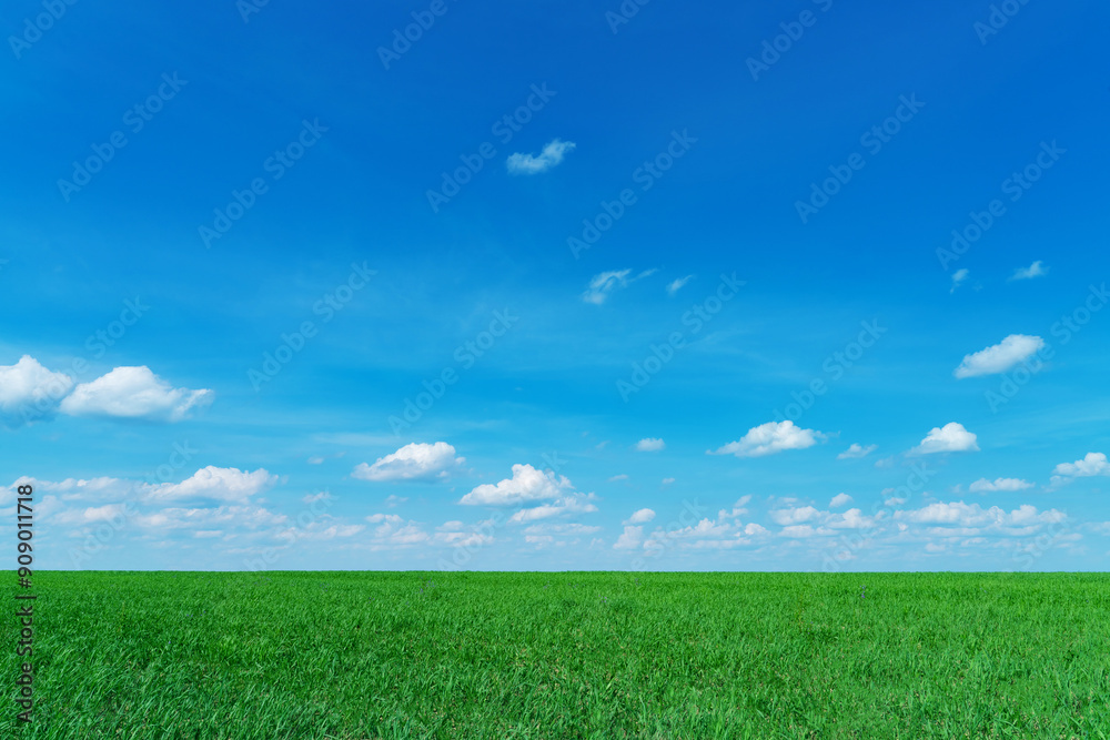 Obraz premium summer landscape with road and clouds in the blue sky