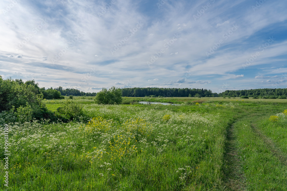 Naklejka premium summer landscape with road and clouds in the blue sky