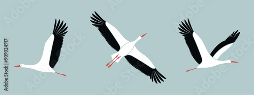 Stork logo. Isolated stork on white background
