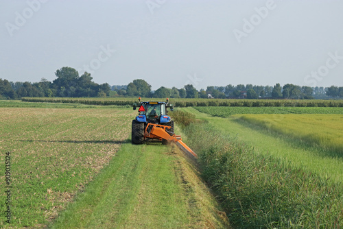 a farmer is mowing grass and reed in a ditch between green fields in summer in the countryside with a tractor and a mower