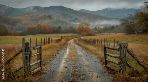 Misty Morning on a Rural Autumn Road..