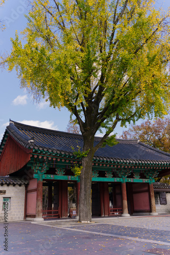 a traditional Korean Hanok house with a tiled roof, nestled amidst vibrant yellow ginkgo trees, under a sunny sky, reflecting Korea’s rich cultural heritage and autumn beauty.