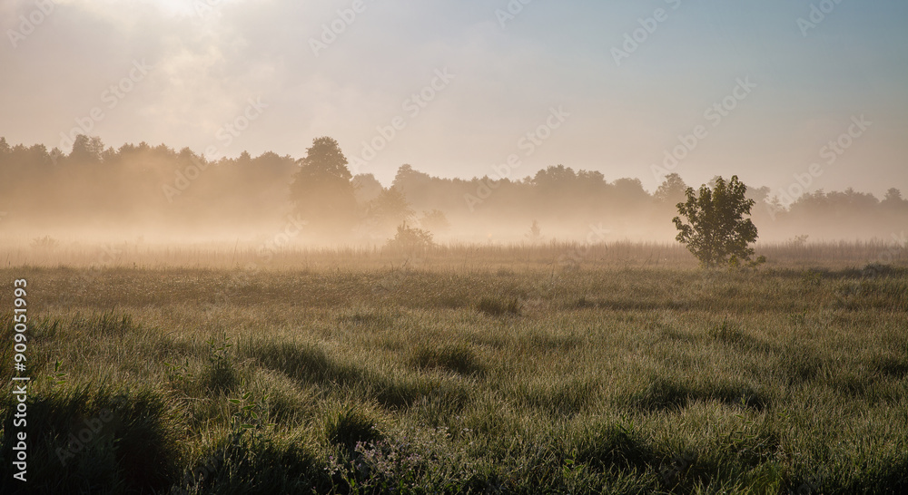 Summer early morning landscape with haze over river. Summer early morning landscape with haze over river.