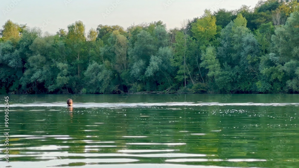 Peaceful Woman Swimming in Serene Lake Surrounded by Dense Green Forest on a Calm Summer Day Peaceful Woman Swimming in Serene Lake Surrounded by Dense Green Forest on a Calm Summer Day