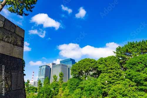 爽やかな青空と皇居東御苑からの木々と丸の内や大手町のオフィスビル群・エコイメージ（東京都千代田区）