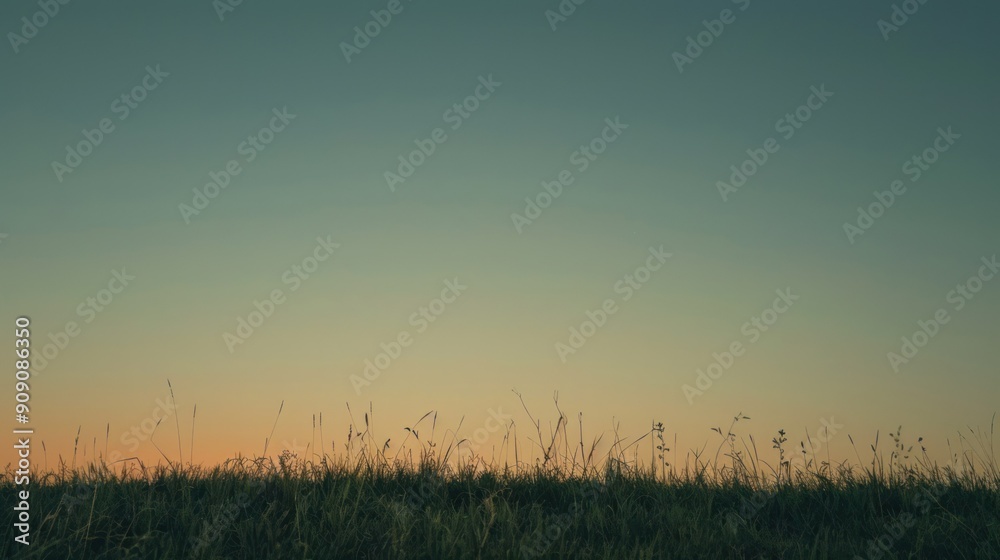 Fototapeta premium A horizon line where the grass meets a clear sky at sunset