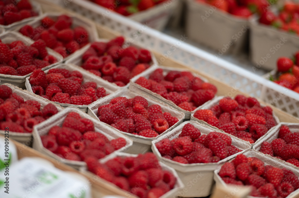 Körbchen mit Himbeeren nach der Ernte auf dem Hof