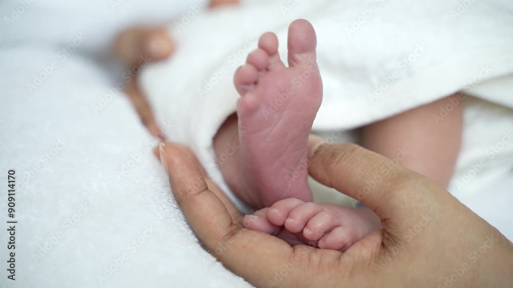 A mother's hands lovingly holding her newborn baby's feet. Concept Mother's day, Baby foot. A mother's hands lovingly holding her newborn baby's feet. Concept Mother's day, Baby foot.