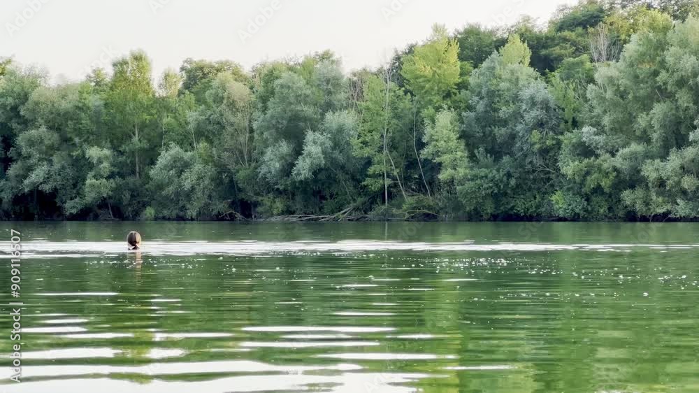 Peaceful Woman Swimming in Serene Lake Surrounded by Dense Green Forest on a Calm Summer Day Peaceful Woman Swimming in Serene Lake Surrounded by Dense Green Forest on a Calm Summer Day