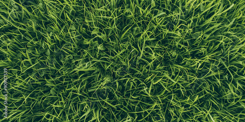 Green grass texture background showing blades of grass growing