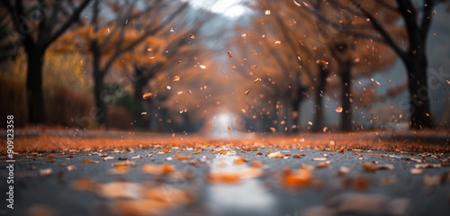 Autumn Leaves Falling on Wet Pathway in Serene Park During Rainy Afternoon