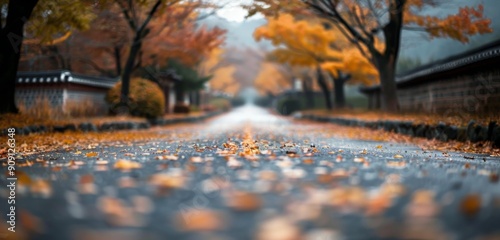 Autumn Leaves Falling on Wet Pathway in Serene Park During Rainy Afternoon