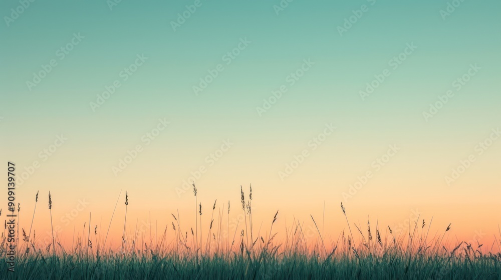 A horizon line where the grass meets a clear sky at sunset A horizon line where the grass meets a clear sky at sunset