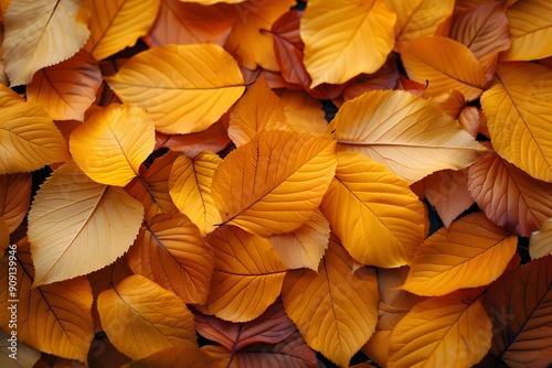 Autumn Foliage Background with Vibrant Orange and Yellow Leaves - Perfect for Seasonal Designs and Decorations