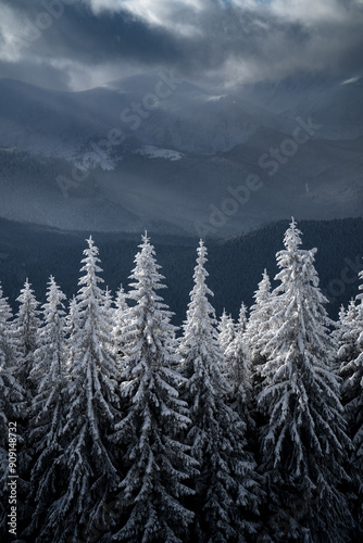 Snow-covered trees stand against misty mountains under a dramatic sky
