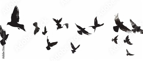 A monochromatic photo shows birds in flight, forming dynamic silhouettes against a bright sky. Various poses convey a sense of motion and freedom. photo