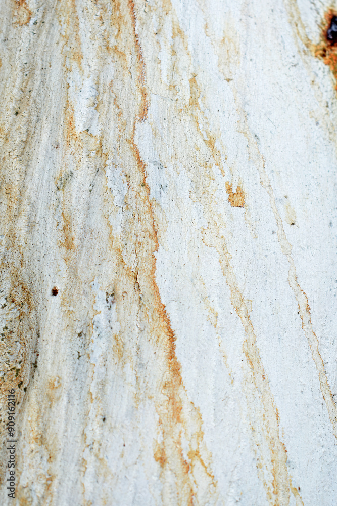 Eucalyptus tree bark texture, Bark of eucalyptus tree, seamless texture, a eucalyptus tree bark texture background image Eucalyptus tree bark texture, Bark of eucalyptus tree, seamless texture, a eucalyptus tree bark texture background image