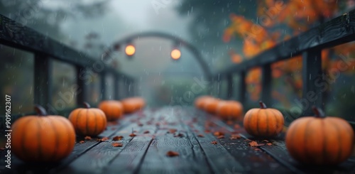 Pumpkins Lining a Foggy Wooden Pathway During Rainy Autumn Afternoon