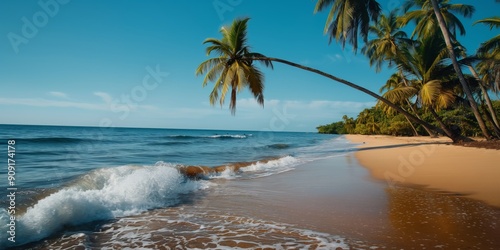 Palm-Fringed Paradise: A serene beach scene, bathed in the warm glow of the tropical sun, features swaying palm trees and gentle waves lapping at the shore. It evokes a sense of tranquility and escapi photo