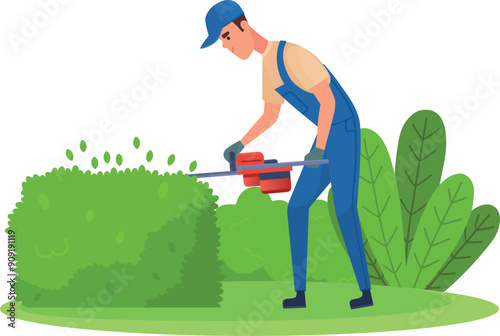 Green hedge pruning. Garden worker trim bush