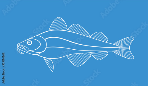 Atlantic cod outline. Isolated cod on white background