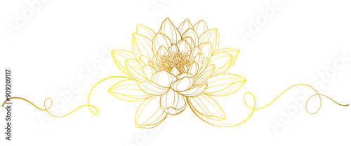 Vector lotus flower gold background, luxury floral art. Vintage line ornament, beauty nature illustration