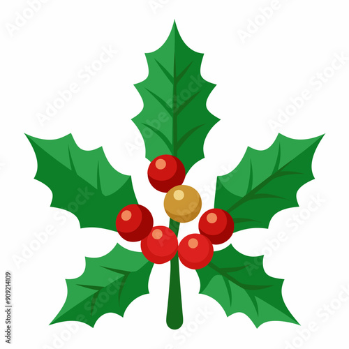 Holly  vector illustration