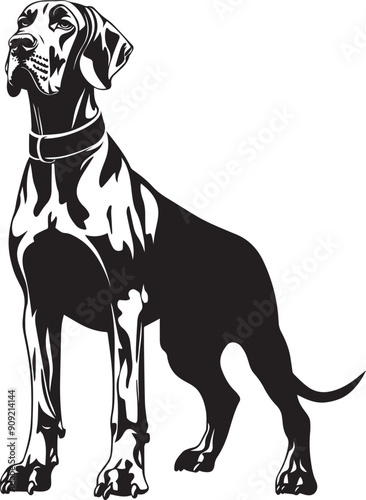 great dane dog
