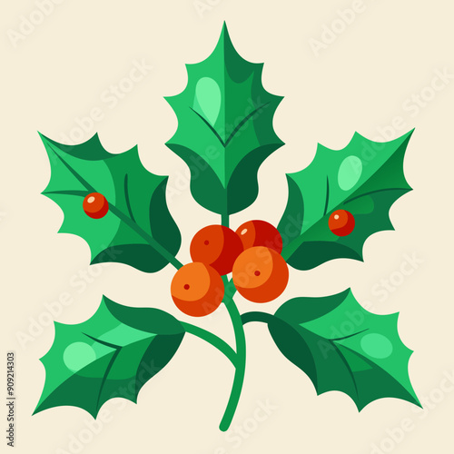 Holly  vector illustration