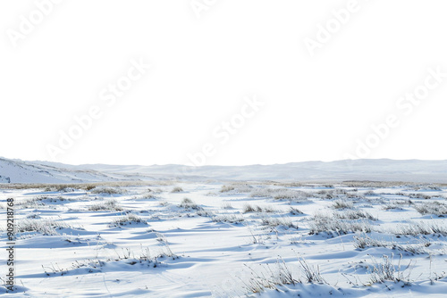 Frozen Arctic tundra backdrop with snowy icy ground