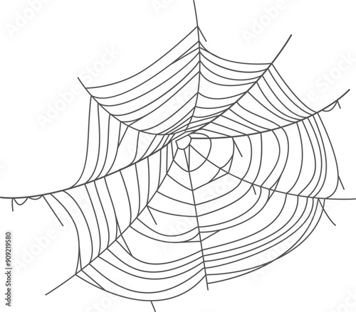 Spider web. Arachnid old net. Grungy element