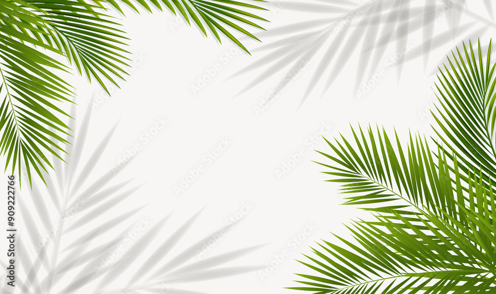 Green Palm Tree Branch And Isolated Background Green Palm Tree Branch And Isolated Background