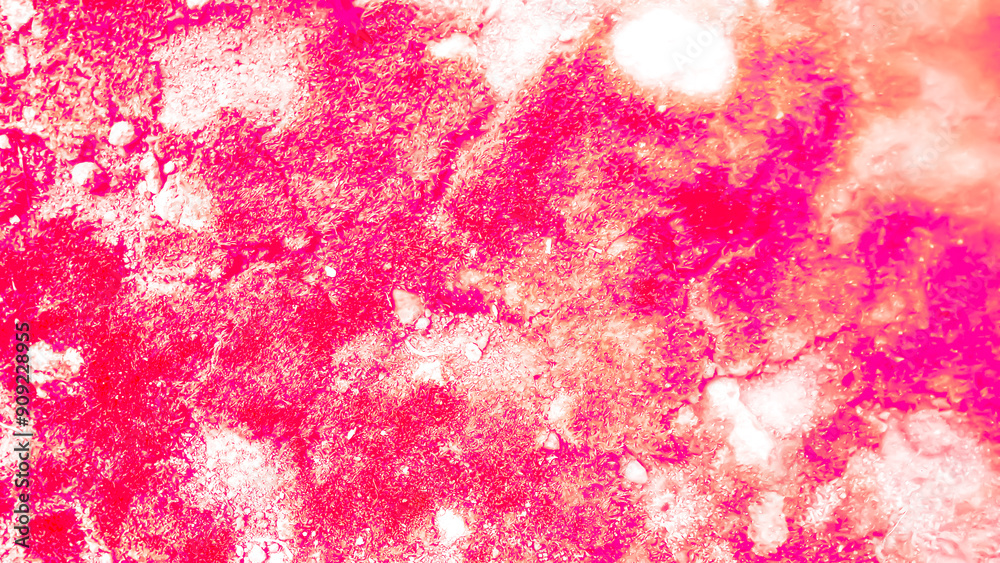 Fototapeta premium Dynamic Red and White Light Streaks