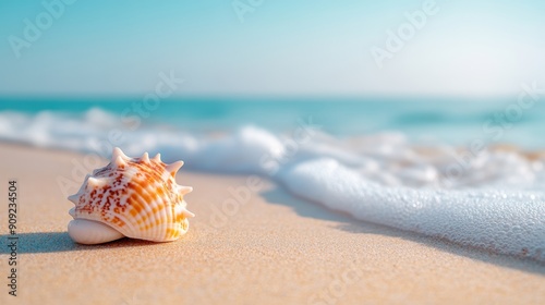 A beautiful seashell with intricate patterns and colors, resting on a sandy beach with waves gently lapping at the shore.