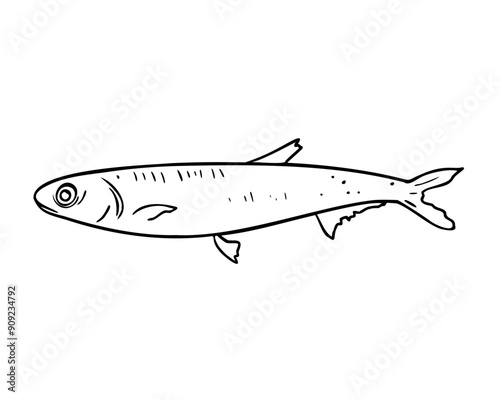 Single anchovy black and white vector illustration isolated. Fresh sea fish hand drawn ink silhouette. Simple fish sprat contour. Sardine in line art for package, label, menu, market, canned fish