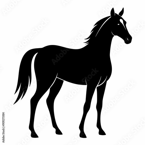 horse silhouette isolated on white illustration,