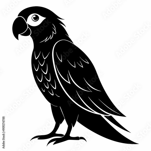 Beautiful parrot bird vector illustration 
