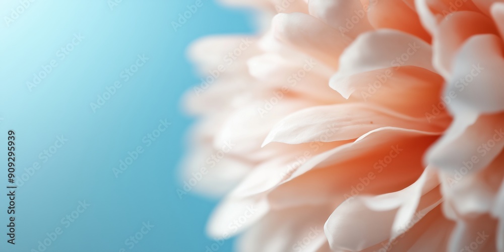 Peach Flower Close-up: Delicate and ethereal, a vibrant peach flower blossom bursts forth against a calming blue backdrop in a captivating close-up photograph. Nature's artistry, captured in intricate Peach Flower Close-up: Delicate and ethereal, a vibrant peach flower blossom bursts forth against a calming blue backdrop in a captivating close-up photograph. Nature's artistry, captured in intricate