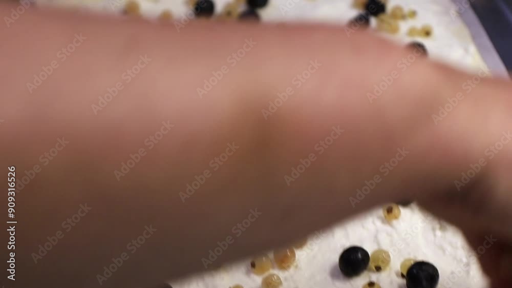 Adding Fresh Blueberries to Cheesecake Adding Fresh Blueberries to Cheesecake
