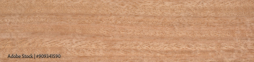 An eucalyptus Frise wood texture in close up