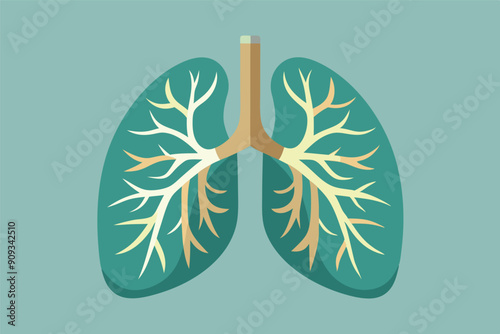 Vector illustration of human lungs. Illustration for pulmonology, lungs disease concept